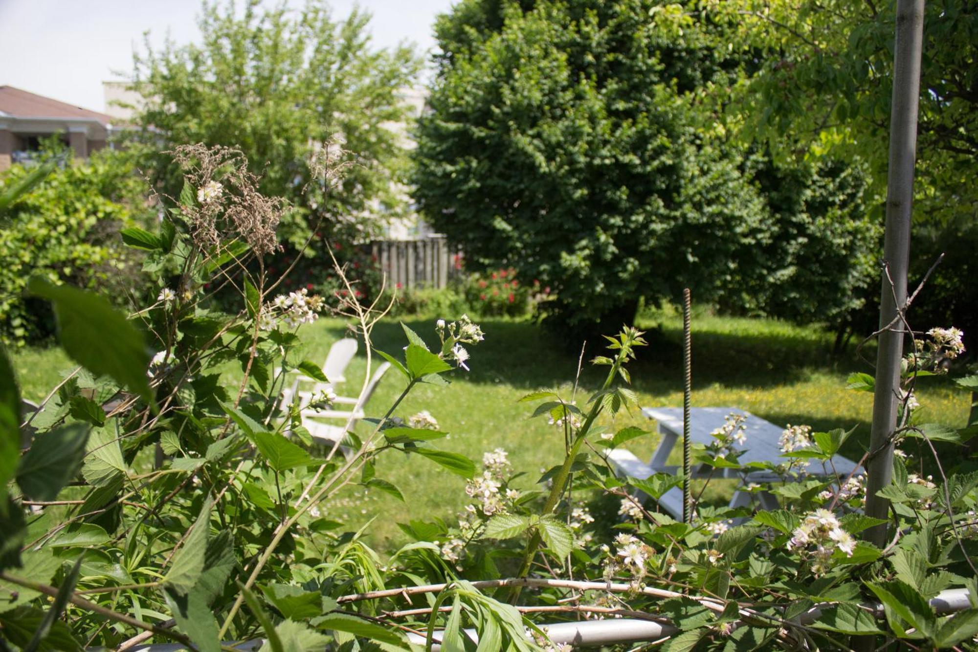 Anna'S Bed & Breakfast Niagara Falls Ngoại thất bức ảnh